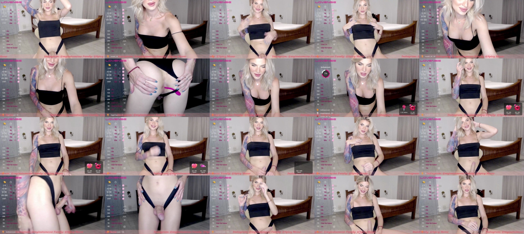 spicy_meow  08-06-2022